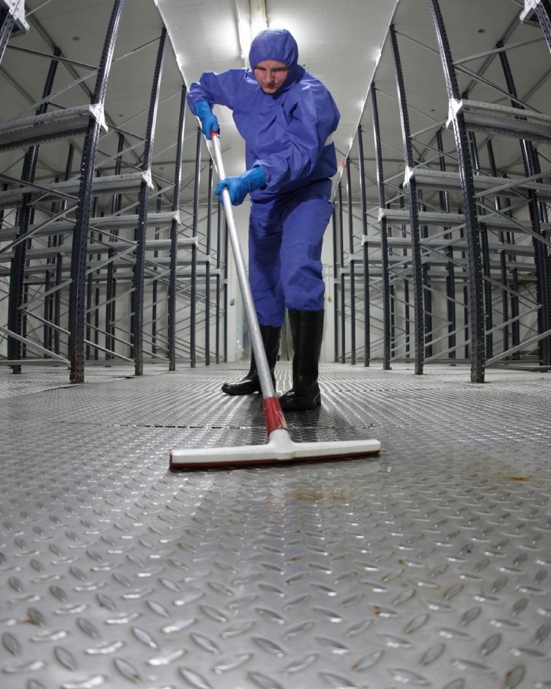 A person Cleaning